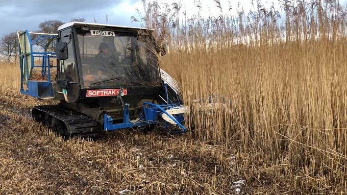 Reed Harvester Soft Trak