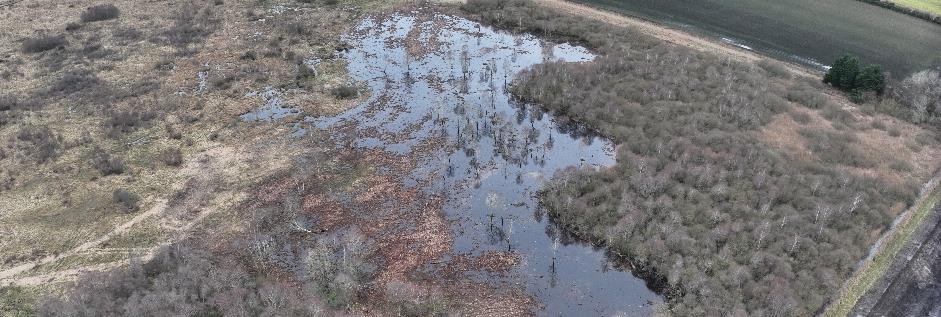 Lowland Peat Restoration