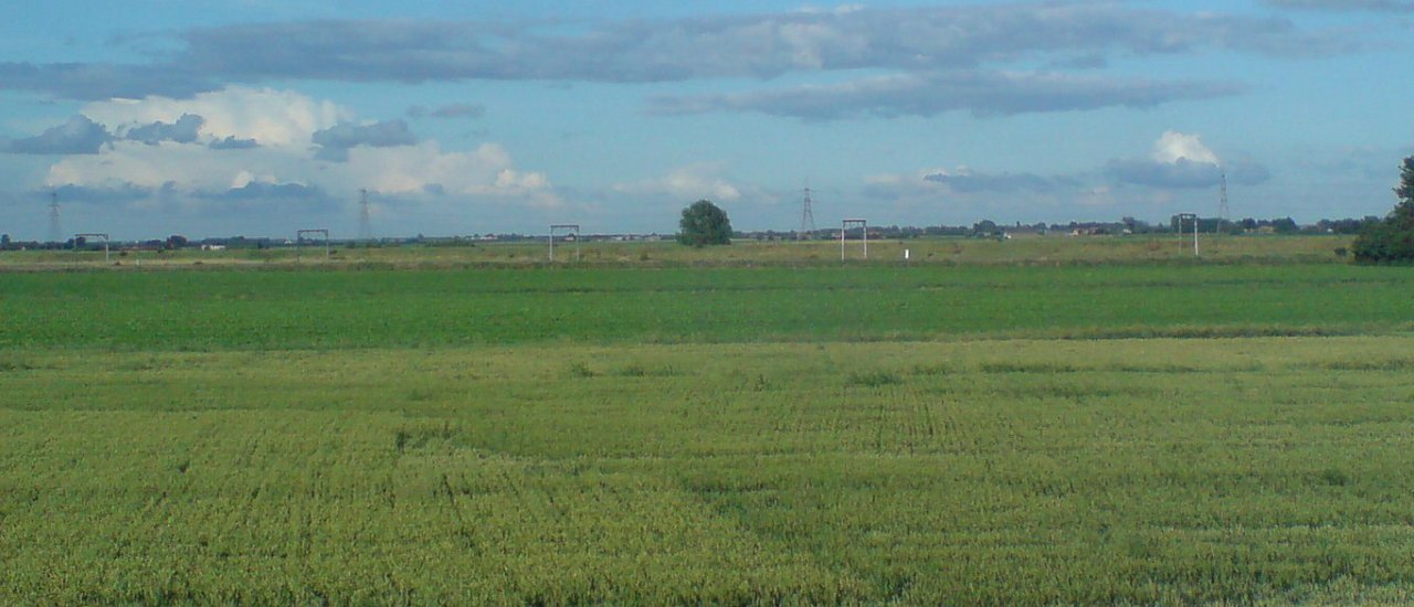 This is a placeholder